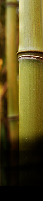 Visions of Home: Multi-Cultural Feng Shui